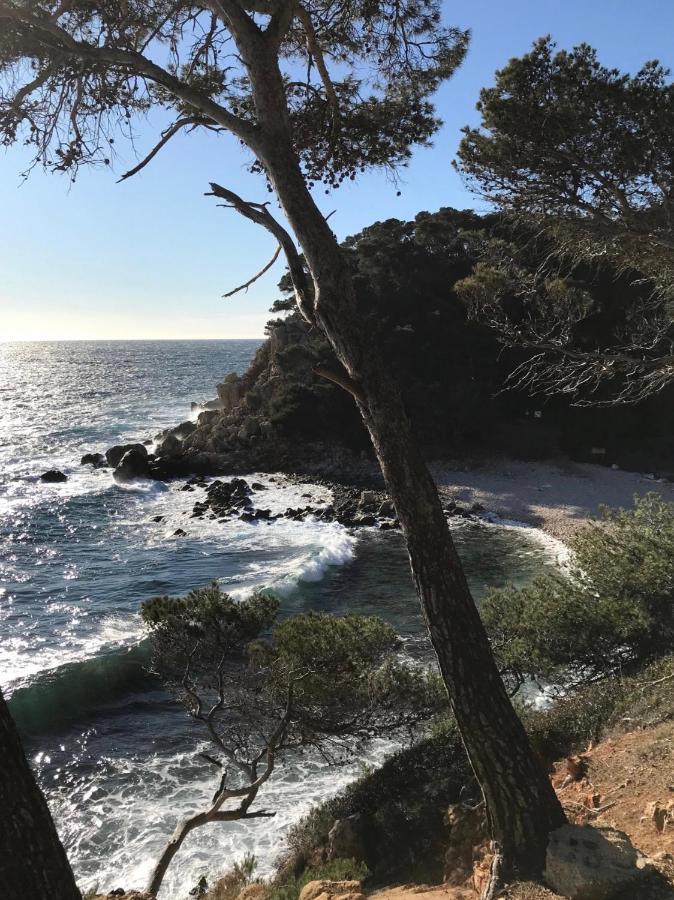 Villa Lucienne Bandol , T2 4 Etoiles Avec Garage, Dans Les Calanques Exterior foto